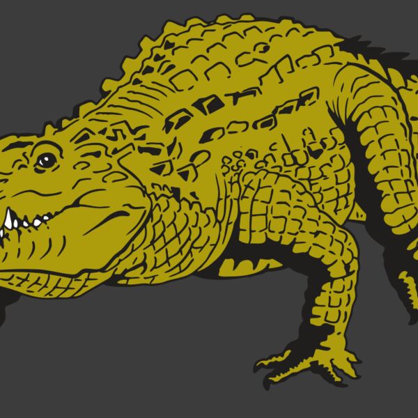 AR GATOR 13 RQC Thumbnail