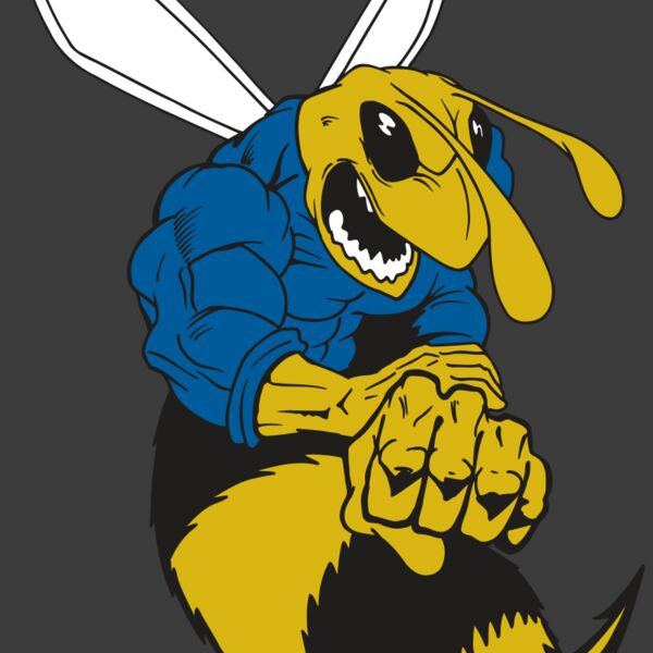 AR5 BEE 29 RQC Thumbnail