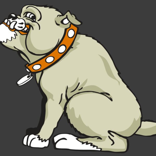 AR BDOG 26 RC Thumbnail