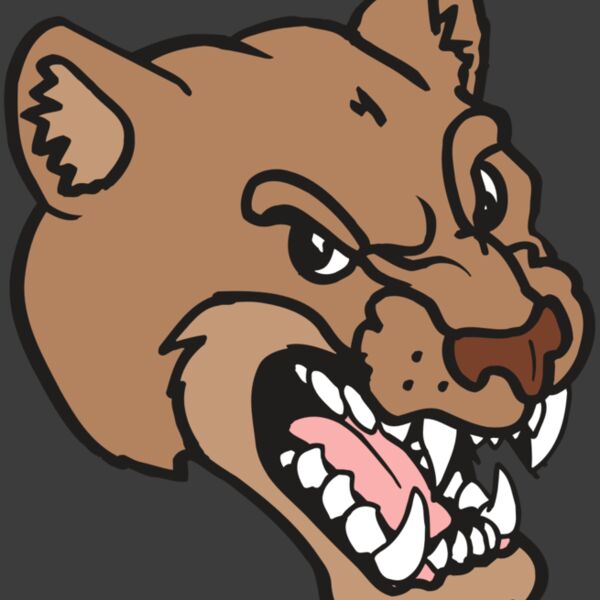 AR5 COUGAR 12 RQC Thumbnail