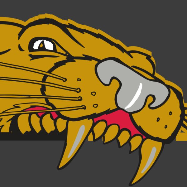 AR COUGAR 73 RC Thumbnail