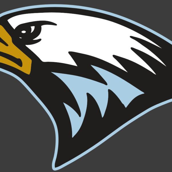 AR EAGLE 27 RC Thumbnail