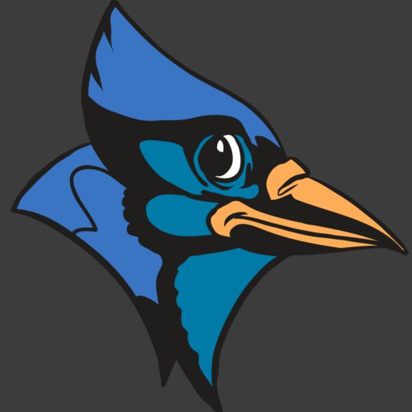 AR31 BLUEJAY 04 RQC Thumbnail