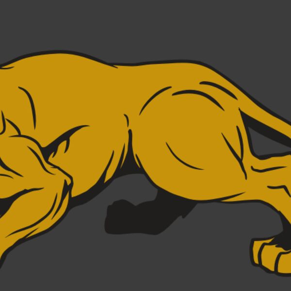 AR10 PAN COU 01 RQC Thumbnail