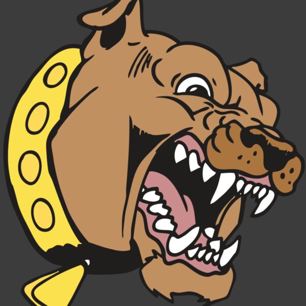 AR BDOG 49 RC Thumbnail