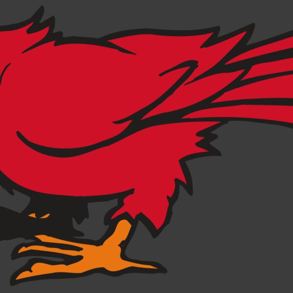 AR CARDINAL 59 RC Thumbnail