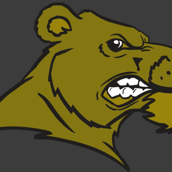 AR BEAR 11 RC Thumbnail