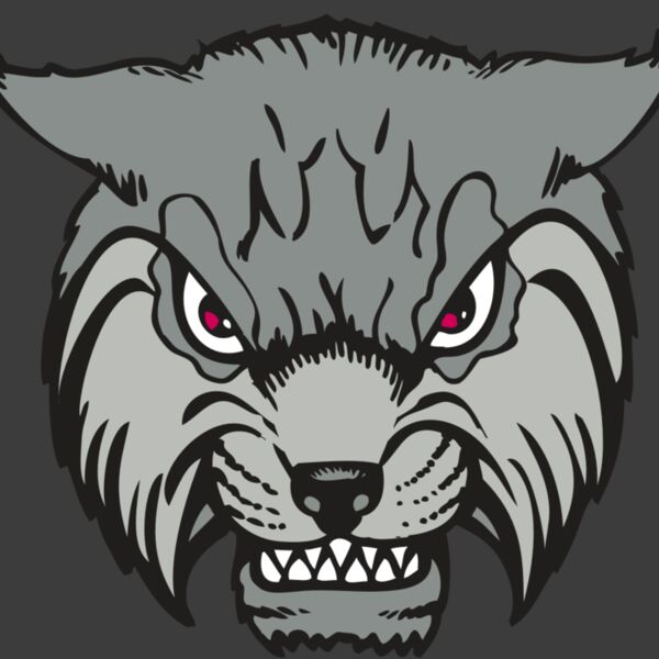 BAW BOBCAT 02 RC Thumbnail