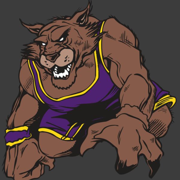 AR WILDCAT 23 RC Thumbnail