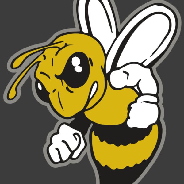 AR BEE 60 RC Thumbnail