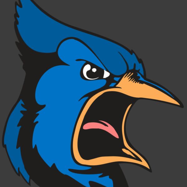 BAW BLUEJAY 03 RC Thumbnail