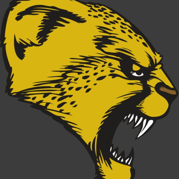 BAW CHEETAH 13 RC Thumbnail