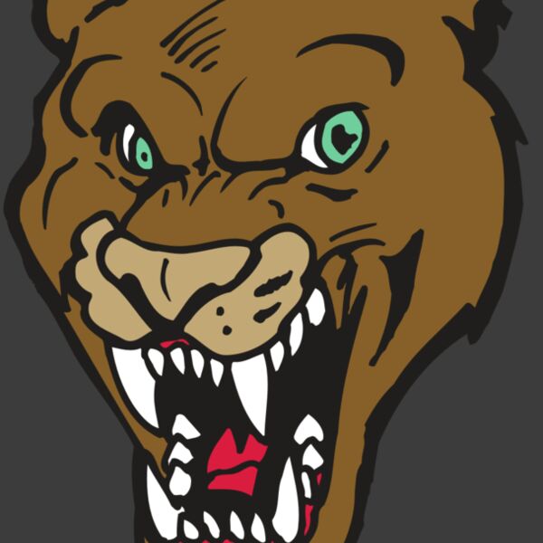 AR5 COUGAR 16 RQC Thumbnail