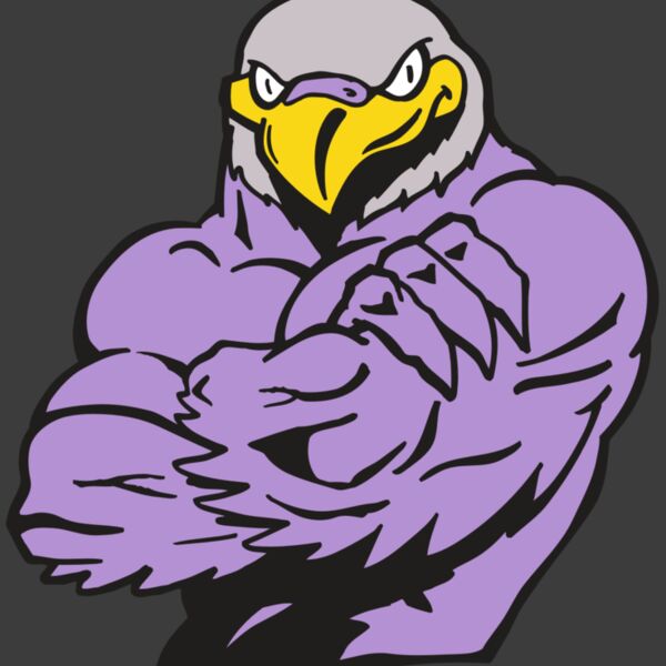 AR FALCON 32 RC Thumbnail