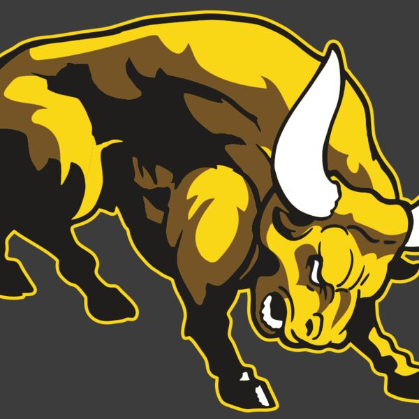 AR BULL 57 RC Thumbnail