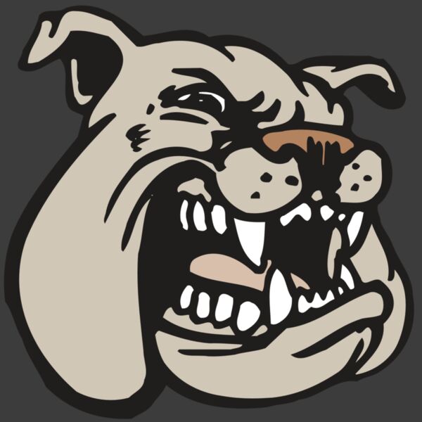 AR BDOG 38 RC Thumbnail