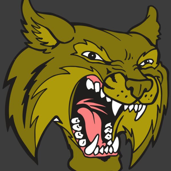 AR5 BOBCAT 20 RQC Thumbnail