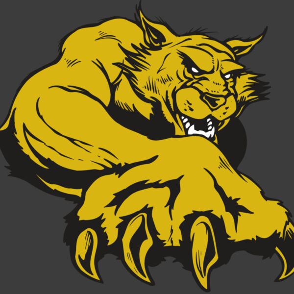 AR WILDCAT 26 RC Thumbnail