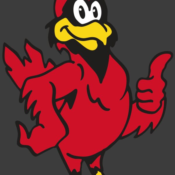 AR CARDINAL 26 RC Thumbnail