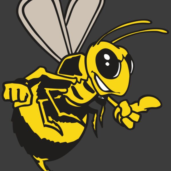 AR BEE 20 RC Thumbnail