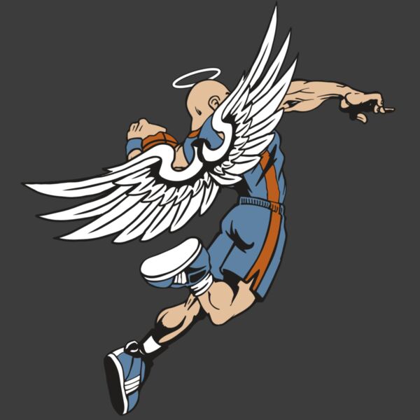 AR17 ANGEL BSKT 02 RQC Thumbnail