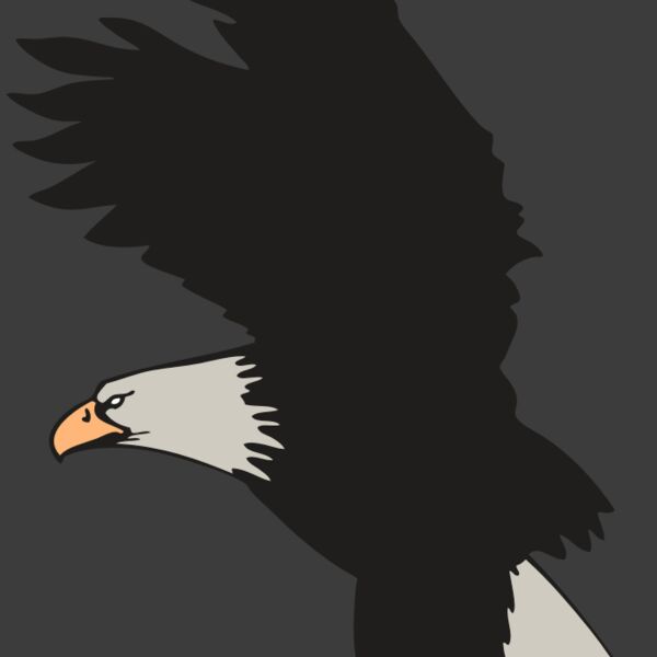 AR EAGLE 91 RC Thumbnail