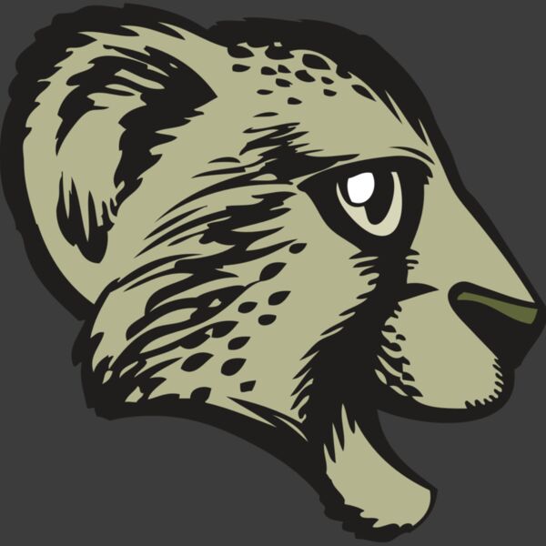 BAW CHEETAH 17 RC Thumbnail