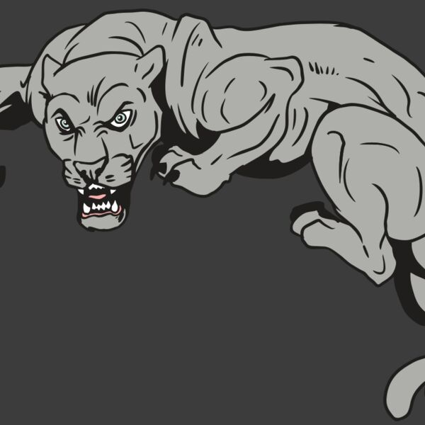 AR10 PANTHER 02 RQC Thumbnail