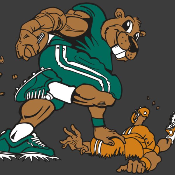 AR14 BEAVER FBLL 01 RQC Thumbnail