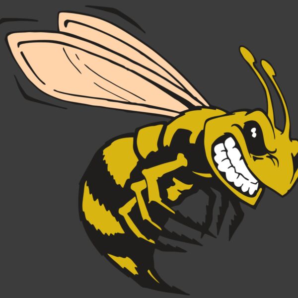 AR BEE 50 RC Thumbnail