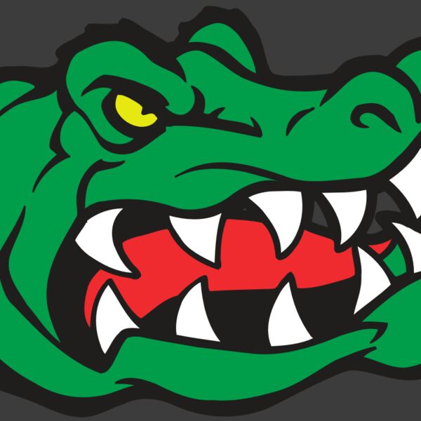 AR GATOR 19 RQC Thumbnail