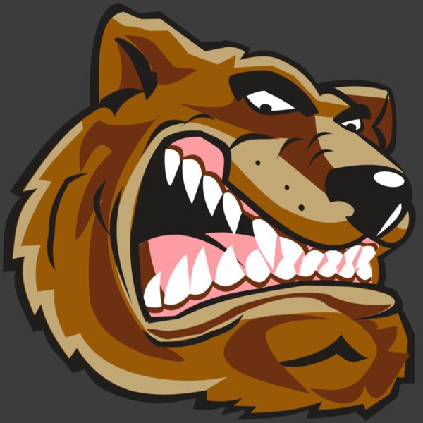 BEAR HD0502 RQC Thumbnail