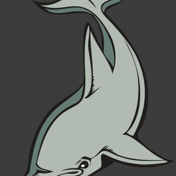 BAW DOLPHIN 01 RC Thumbnail