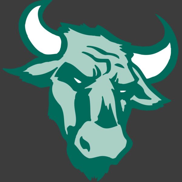 AR BULL 37 RC Thumbnail