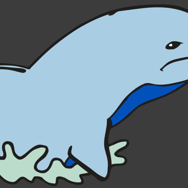 AR DOLPIN 14 RC Thumbnail