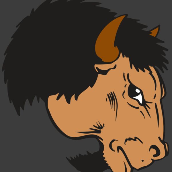 AR BUFFALO 16 RC Thumbnail