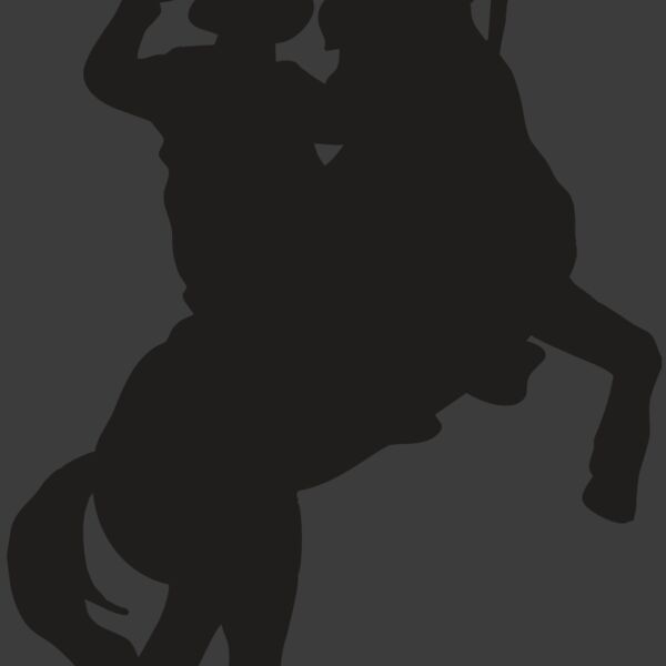 AR COWBOY 26 RC Thumbnail