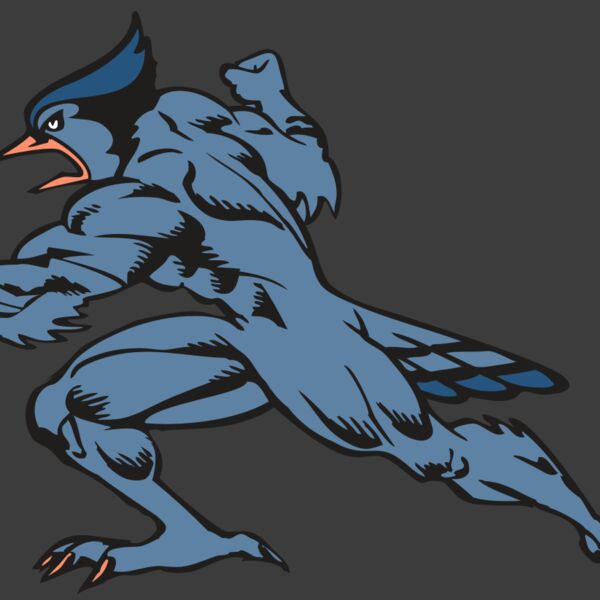 BAW BLUEJAY 15 RC Thumbnail