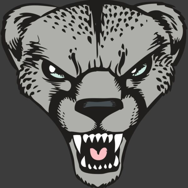 BAW CHEETAH 15 RC Thumbnail