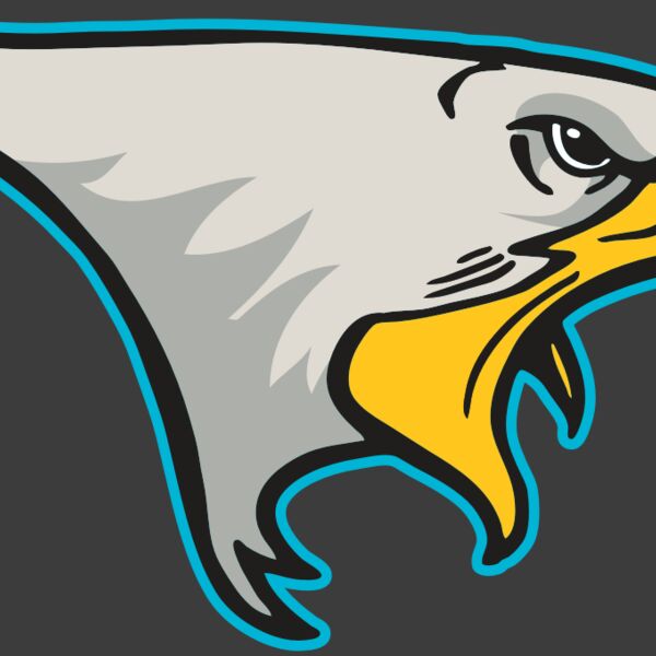 AR14 EAGLE FBALL 01 RQC Thumbnail