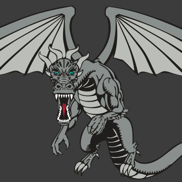 BAW DRAGON 04 RC Thumbnail