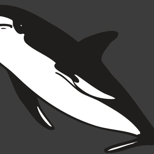 AR DOLPIN 13 RC Thumbnail