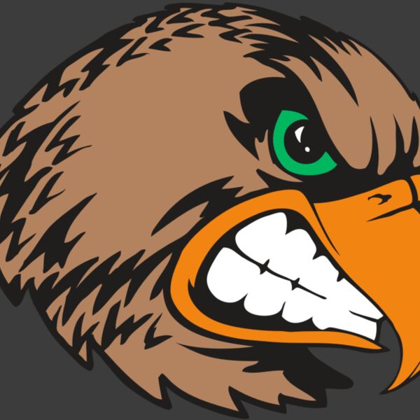 BAW HWK FLCN 09 RC Thumbnail