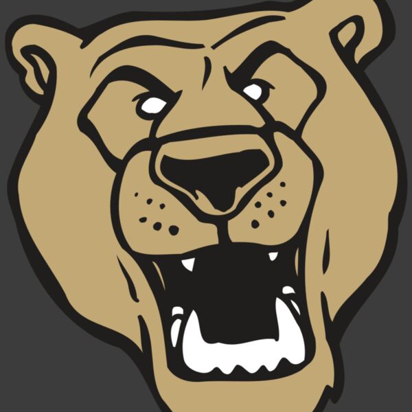 AR BEAR 13 RC Thumbnail