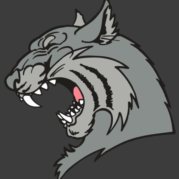 AR WILDCAT 41 RC Thumbnail