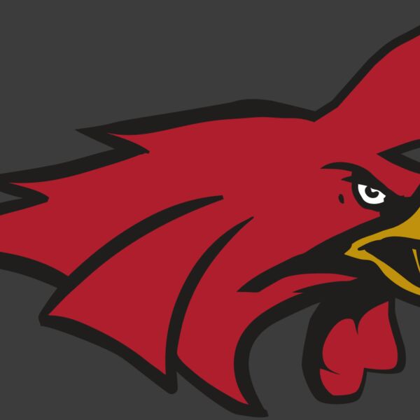 AR15 GAMECOCK 01 RQC Thumbnail