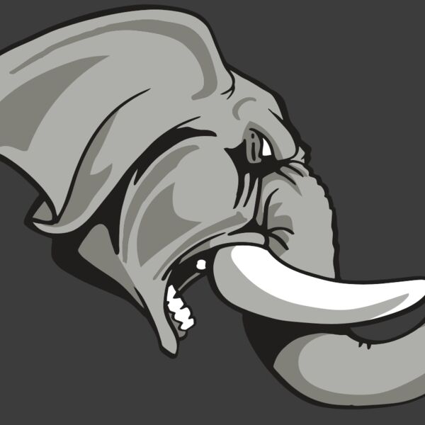 AR ELEPH 20 RC Thumbnail