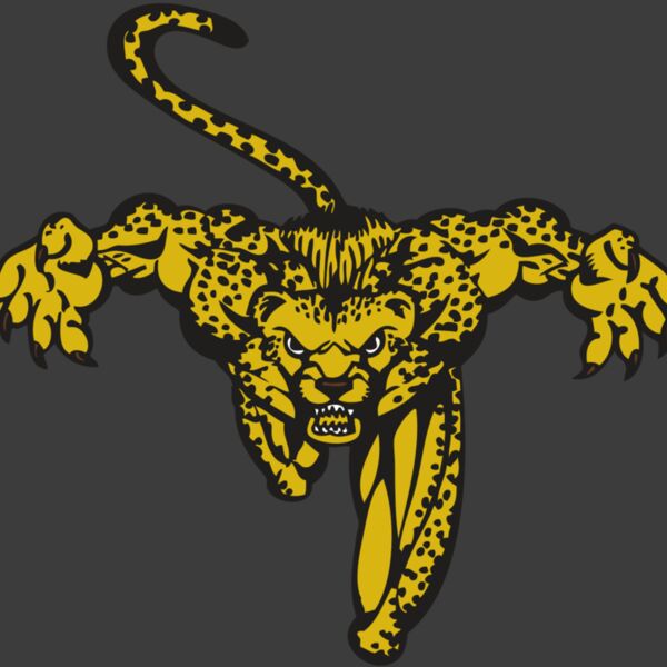 BAW CHEETAH 08 RC Thumbnail