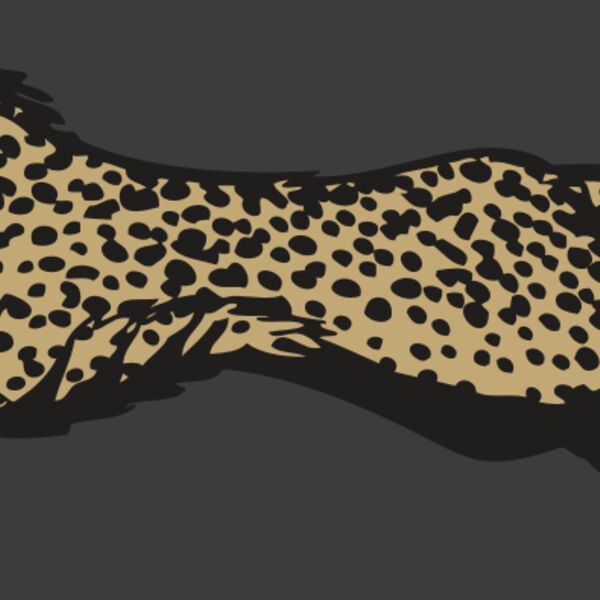 BAW CHEETAH 01 RC Thumbnail