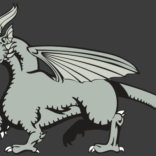 BAW DRAGON 20 RC Thumbnail